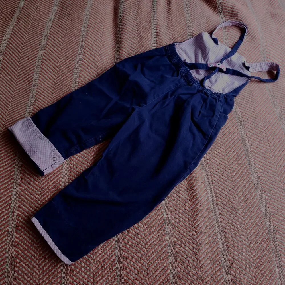 Vintage Gymboree Flower Power Embroidered Overalls Sz 3t Spring/Cottage